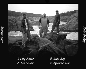 Band Bio Poster
